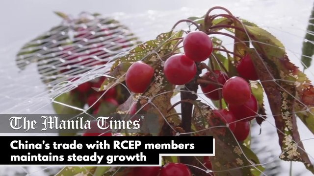 China's trade with RCEP members maintains steady growth