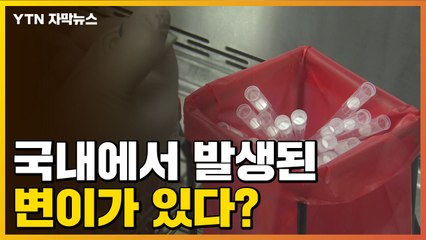 [자막뉴스] 국내에서 자체적으로 변이 발생? 늦가을이 위험하다 / YTN