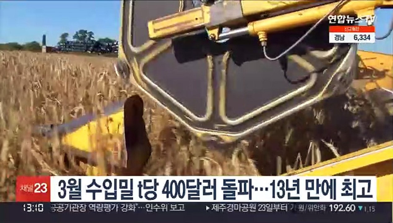3월 수입밀 t당 400달러 돌파…13년 만에 최고