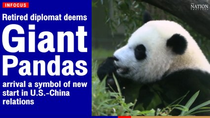 Retired  giant pandas' arrival a symbol of "new start in U.S.-China relations" | The Nation