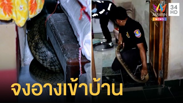สุดผวาจงอางเลื้อยเข้าบ้าน ต้องพึ่งกู้ภัยมาจับด่วน | ข่าวเที่ยงอมรินทร์ | 20 เม.ย.65