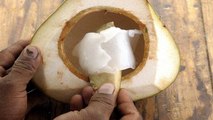 नारियल मलाई खाना चाहिए कि नहीं | नारियल मलाई खाने के फायदे | Nariyal Malai benefits | Boldsky