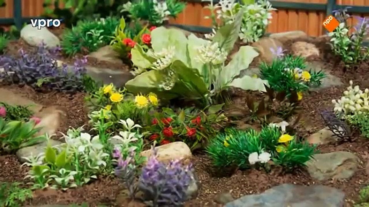 Buurman en Buurman - De rotstuin