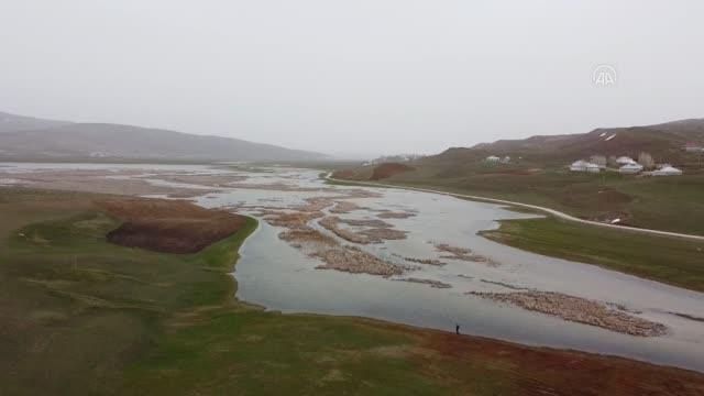 Çırak Sazlığı göçmen kuşlara ev sahipliği yapıyor