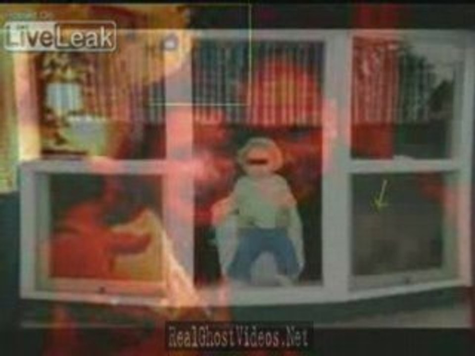 Believe In Ghosts Picture Compilation
