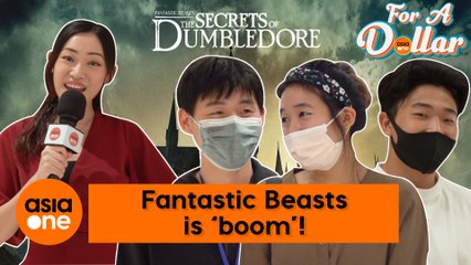 For A Dollar: How fantastic is Fantastic Beasts?