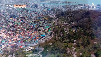 [예고] 낭만과 예술의 도시 목포에서 고두심과 유진의 특별한 여행!