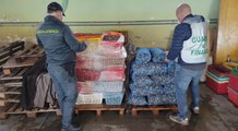 Codevigo (PD) - Magazzino abusivo di vongole sequestrato in località Conche (20.04.22)