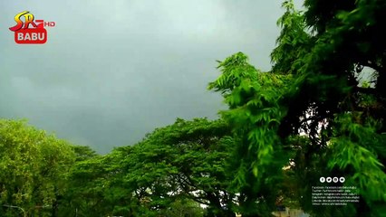 বছরের প্রথম কালবৈশাখী ঝড় শুরুর আগে প্রকৃতি নিজেকে যেভাবে তৈরি করে