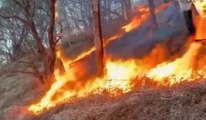 San Bernardino Verbano (VCO) - Incendi boschivi, prosegue lavoro Vigili del Fuoco (20.04.22)