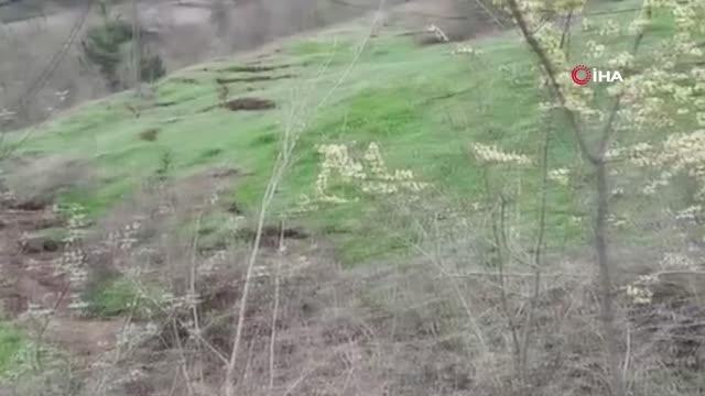 Köy yolunun çöktüğü bölgede ikinci heyelan