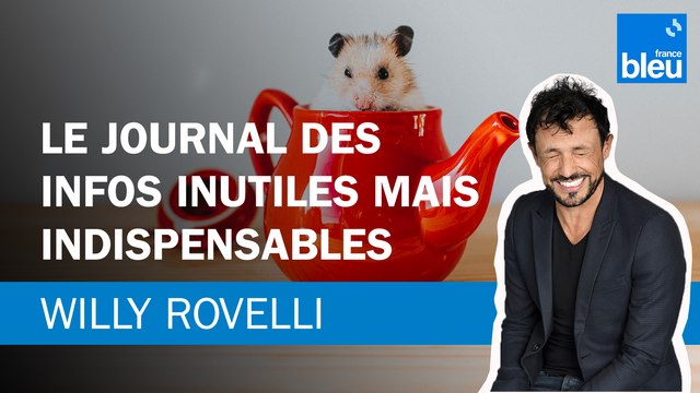 Le journal des infos inutiles mais indispensables - Le billet de Willy Rovelli