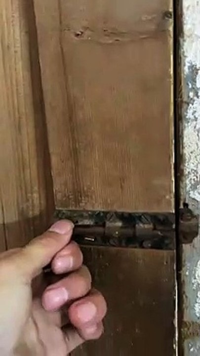 #shorts #fyp #foryoupage #kitten #dog #funnyvideos