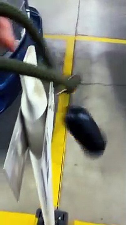 #shorts #laugh #cats #cat #fun # #animals #funny #wee #animal #funnyvideos #funnyvideo