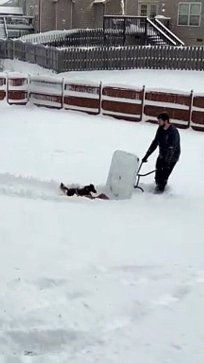 Making a Path for the Pups