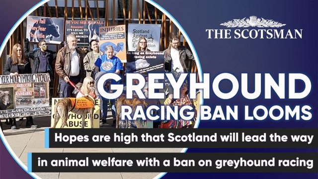Protesters voice support for potential Scottish ban on greyhound racing