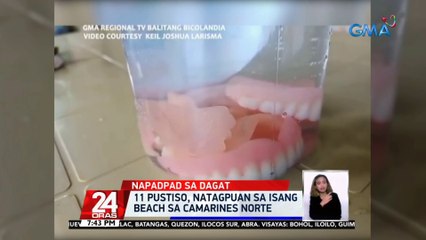 11 pustiso, natagpuan sa isang beach sa Camarines Norte | 24 Oras