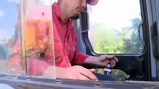 Portakal Toplama Makinesi - Portakal Hasadı