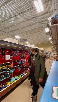 Dog Sniffs Out Family in Sweet Surprise Reunion