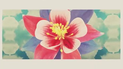 Zapukaj do moich drzwi - odc.91