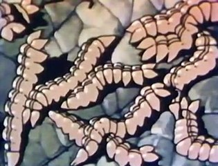 PBS NOVA - The Insect Alternative