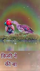 Motivational quotes! motivational sayari