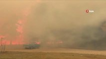 Arizona'da orman yangını şiddetli rüzgarın etkisiyle giderek yayılıyor766 ev tahliye edildi, 2 bin 300 hektarlık alan kül oldu