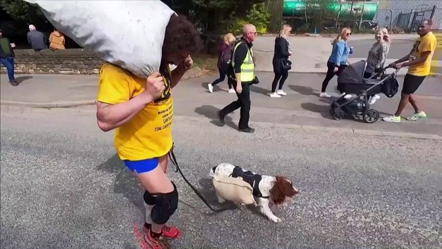 Loyal Dog Accompanies Owner in World Coal Carrying Championships