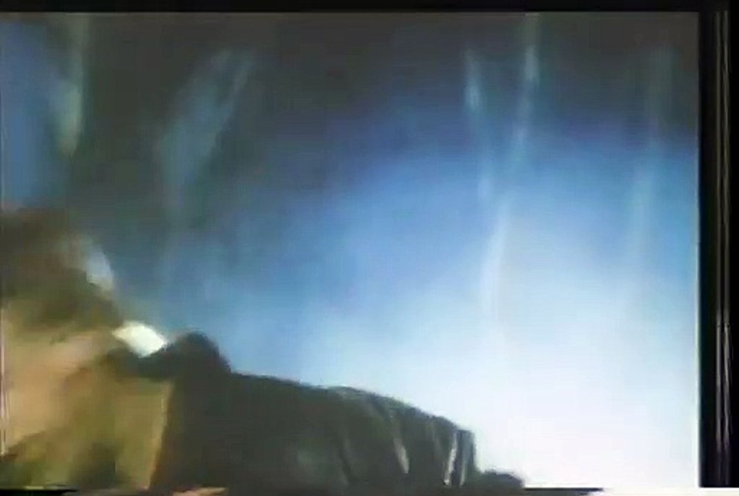 Catch The Heat Trailer 1987