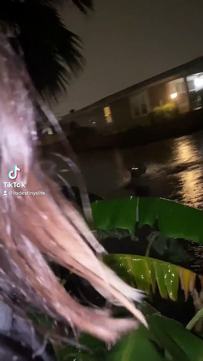 Rain Prancer