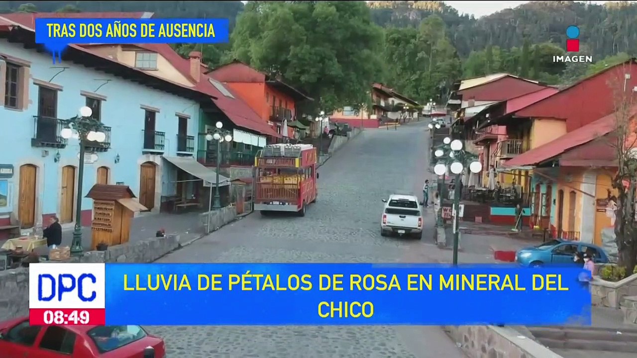 Lluvia de pétalos de rosa, una tradición de Mineral del Chico