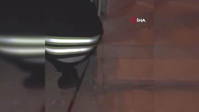 Apartman boşluğuna sıkışan yavru kedileri duvarı kırarak kurtardılar