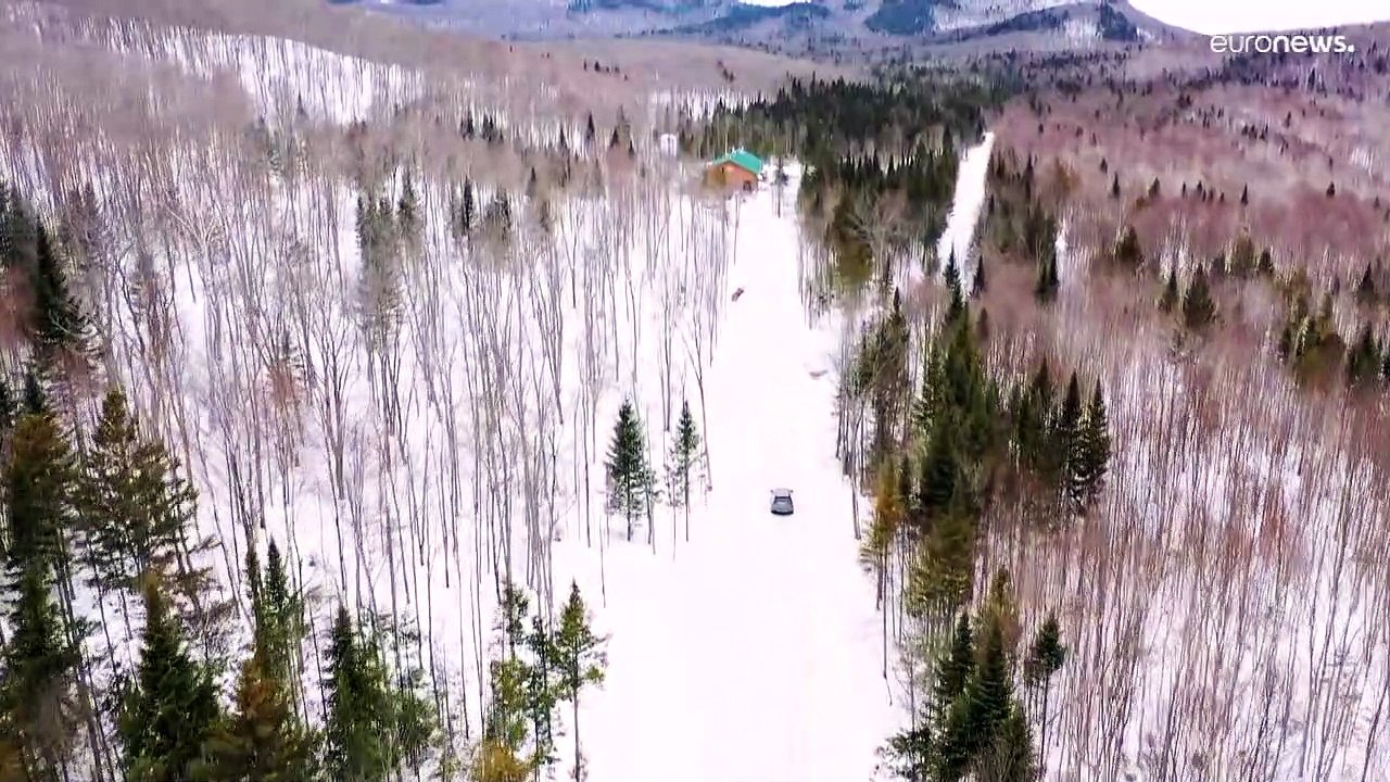 Canada : moins de sirop d'érable à cause du dérèglement climatique