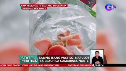 Labing-isang pustiso, napulot sa beach sa Camarines Norte | SONA
