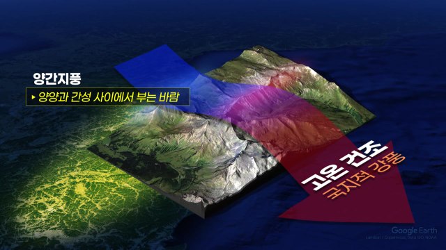 건조경보에 강풍, 산불 잇따라...동해안엔 대형산불주의보 / YTN