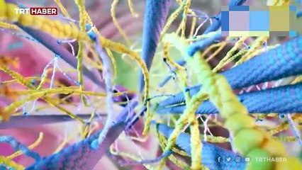 Nanoteknolojide devrim gibi çalışma: Türk bilim insanı başardı