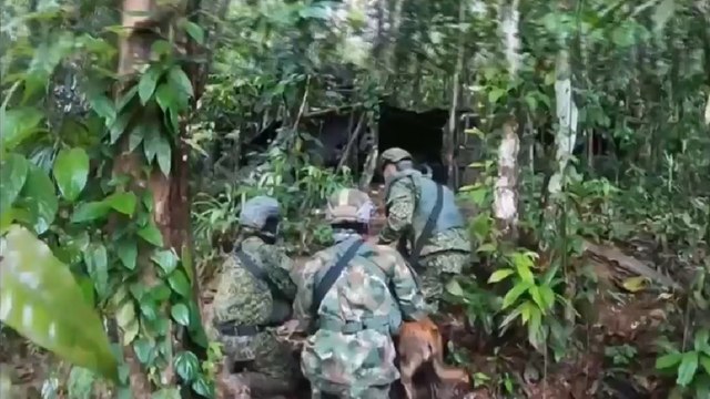 Estados Unidos certificó a Colombia por sus esfuerzos antinarcóticos en el 2021