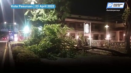 Pohon Tumbang Tutup Jalur Pantura Kota Pasuruan