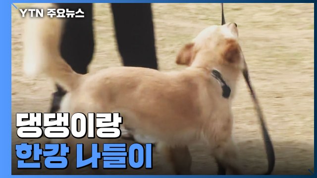 일상회복 첫 주말 맞아 한강 '북적'... 마스크도 벗고싶어 / YTN