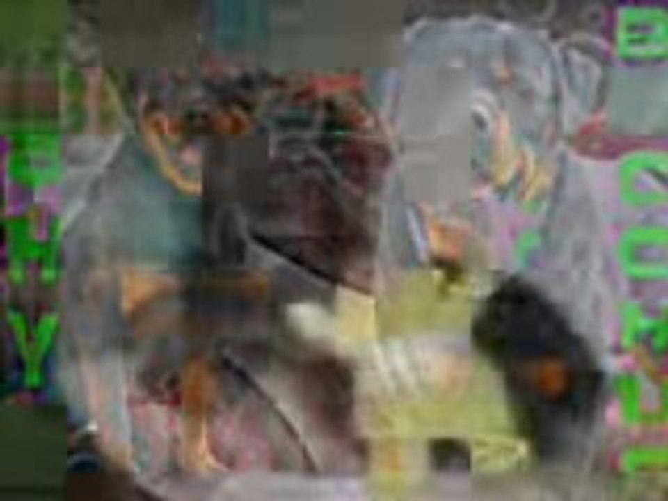 Montage rott