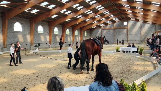 Libre Amateurs 4, Les 4 maisons de Poudlard à Assas