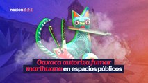 Oaxaca autoriza fumar marihuana en espacios públicos_yt
