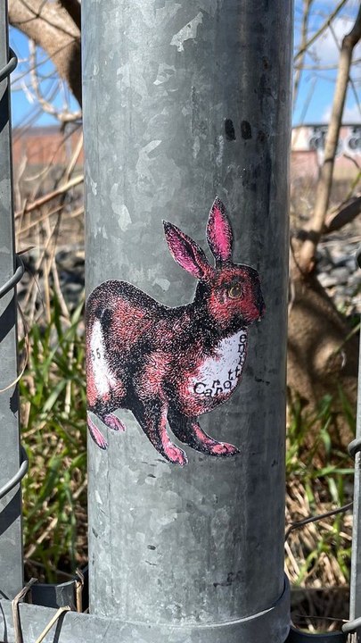 101 Bunnies Are Hidden Throughout This Toronto Trail
