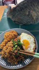 Kitty Whips Its Tail into Food