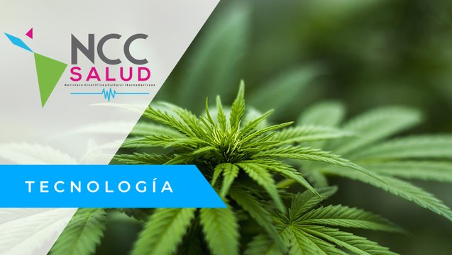 La Cámara Baja del Congreso de EE. UU aprueba despenalizar la marihuana