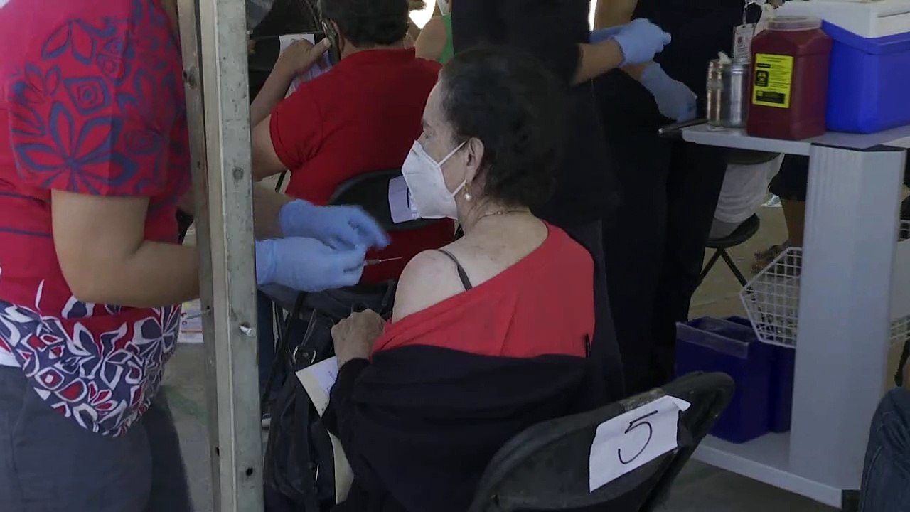 Más de 524 mil vacunas contra el COVID-19 aplic...