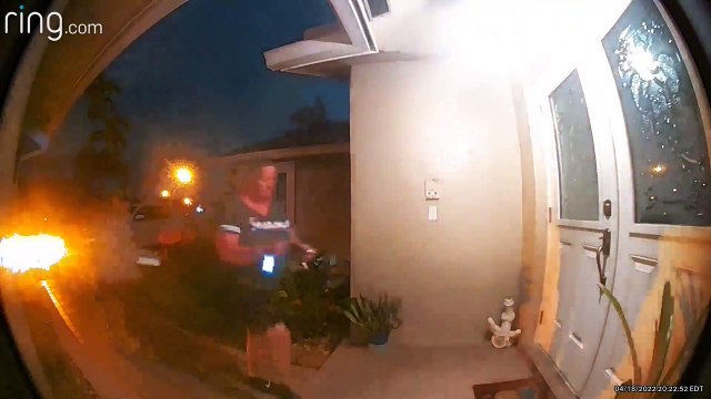 Plant Poking Grandma Startles Her While Trying to Find Spider