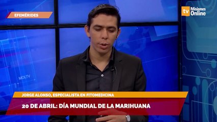 20 de abril: día mundial de la Marihuana