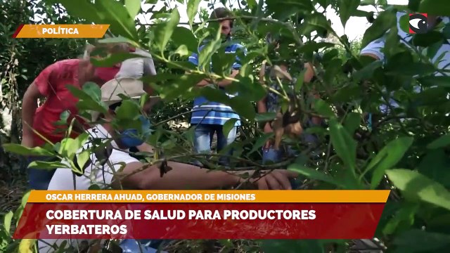 Cobertura de salud para productores yerbateros