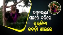 News Fuse | Woman Falls While Climbing Papaya Tree
